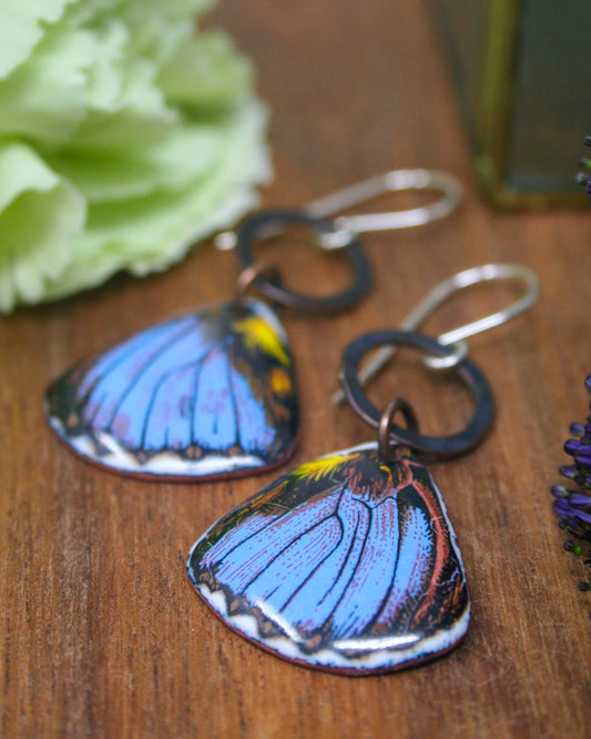a pair of earrings with butterfly wing designs, placed on a wooden surface alongside a green flower.