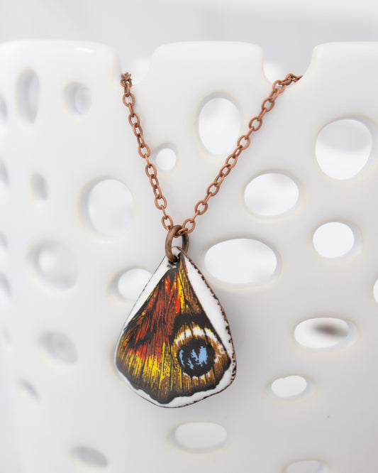 A necklace with a pendant featuring a colorful butterfly wing design.