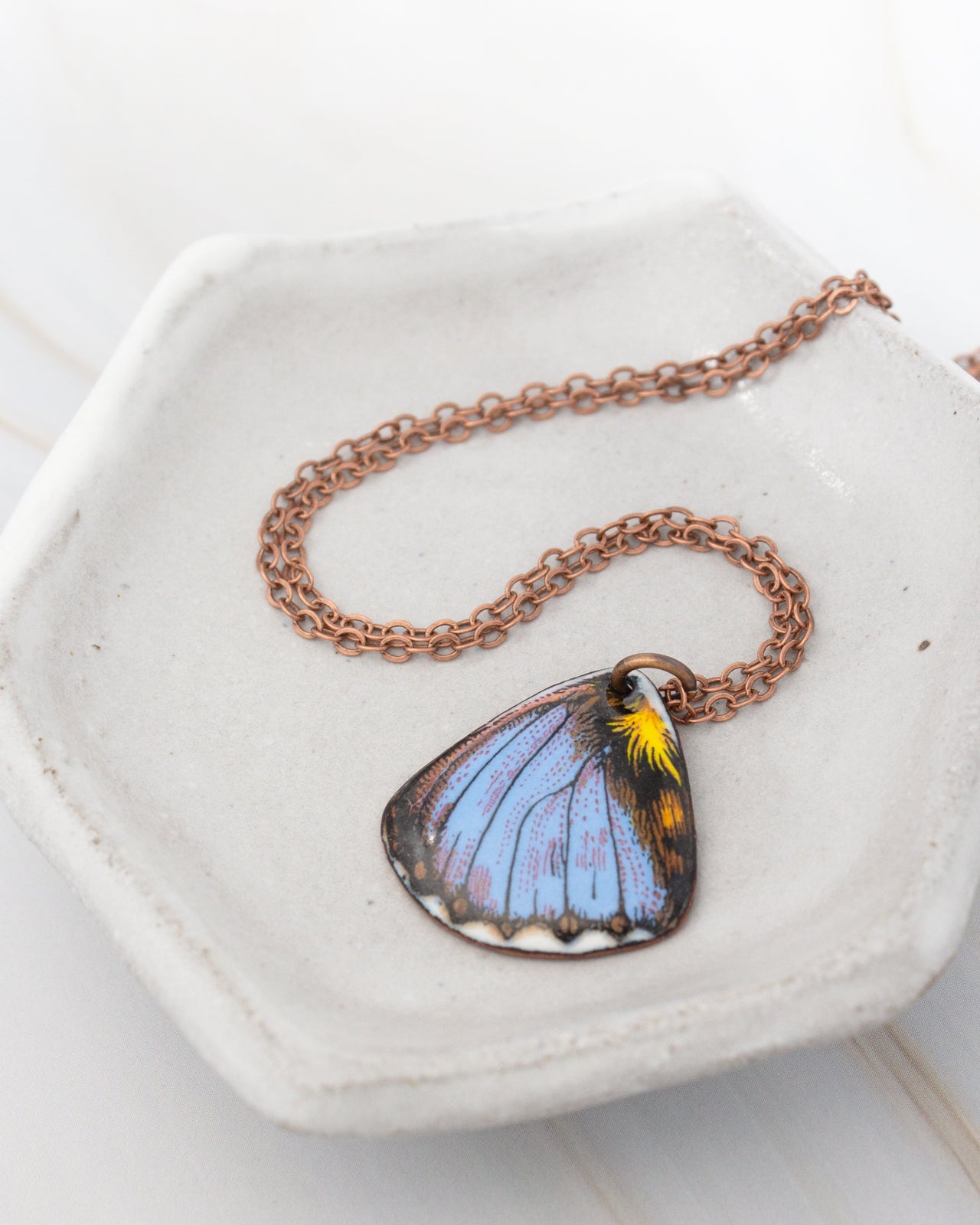 A necklace with a pendant featuring a blue butterfly wing is displayed on a white plate.