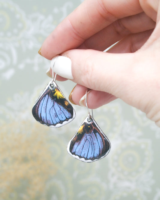 a hand holding a pair of earrings with a blue butterfly on it