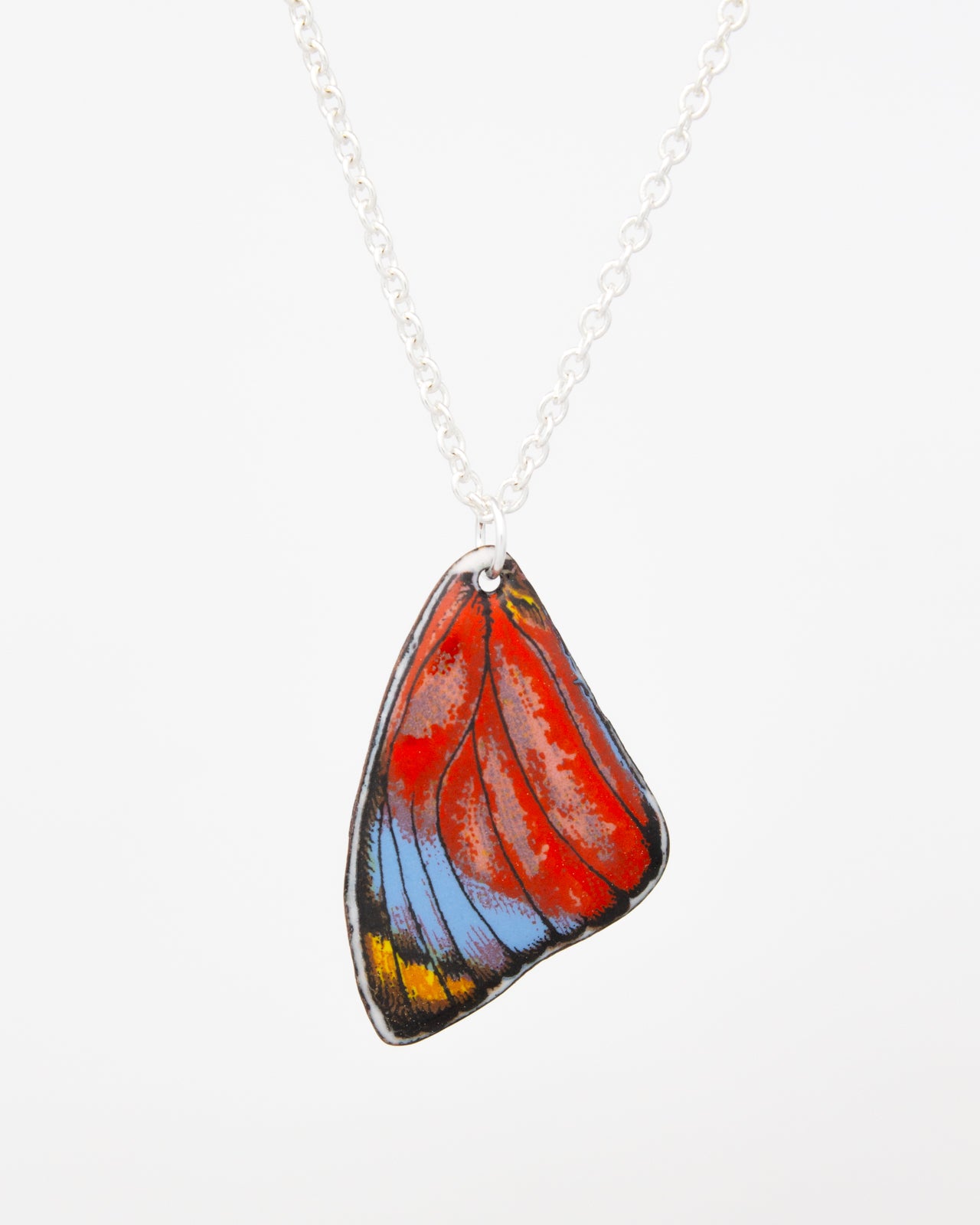 A colorful butterfly wing pendant necklace with a silver chain.