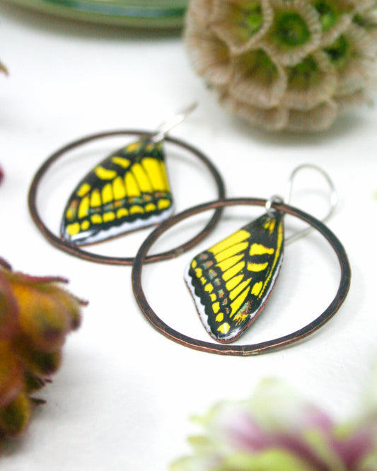a pair of earrings with butterfly wing designs, placed on a white surface.