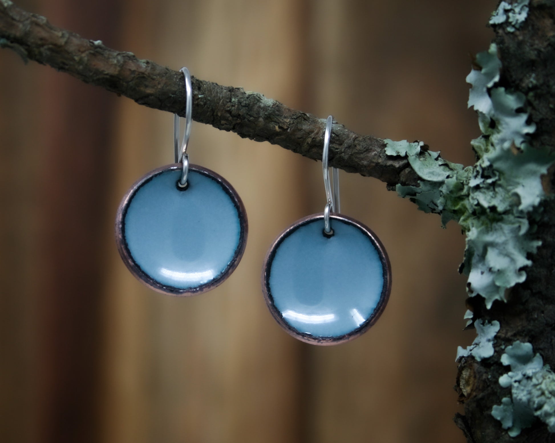 a pair of blue earrings hanging from a tree branch