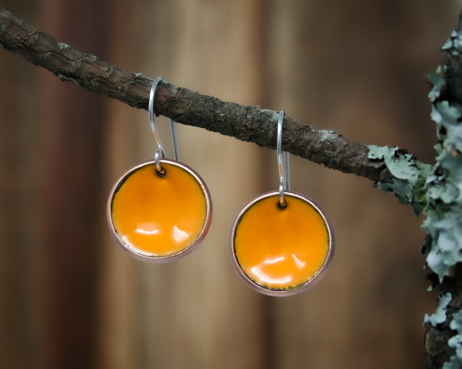 a pair of orange earrings hanging from a tree branch